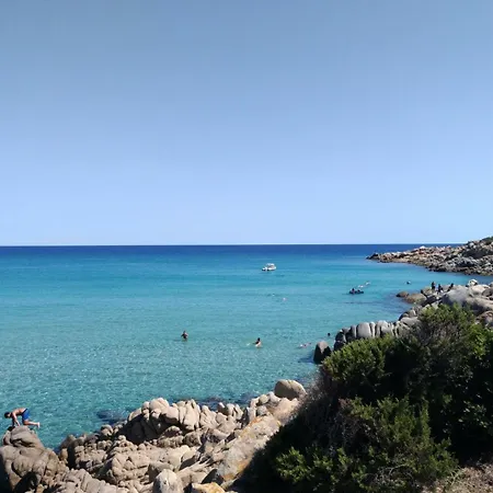 L'asfodelo