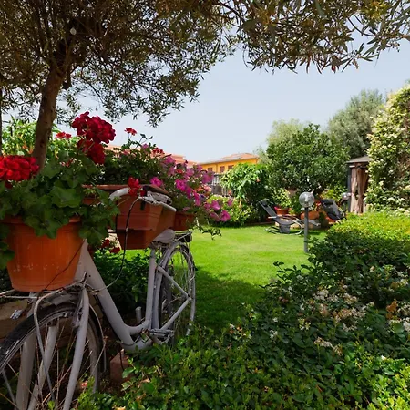 Bed & Breakfast L'asfodelo 3*