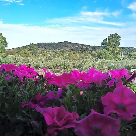 L'asfodelo Villa San Pietro
