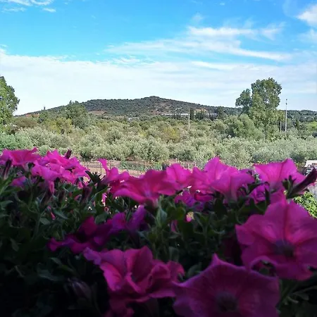 L'asfodelo Bed & Breakfast